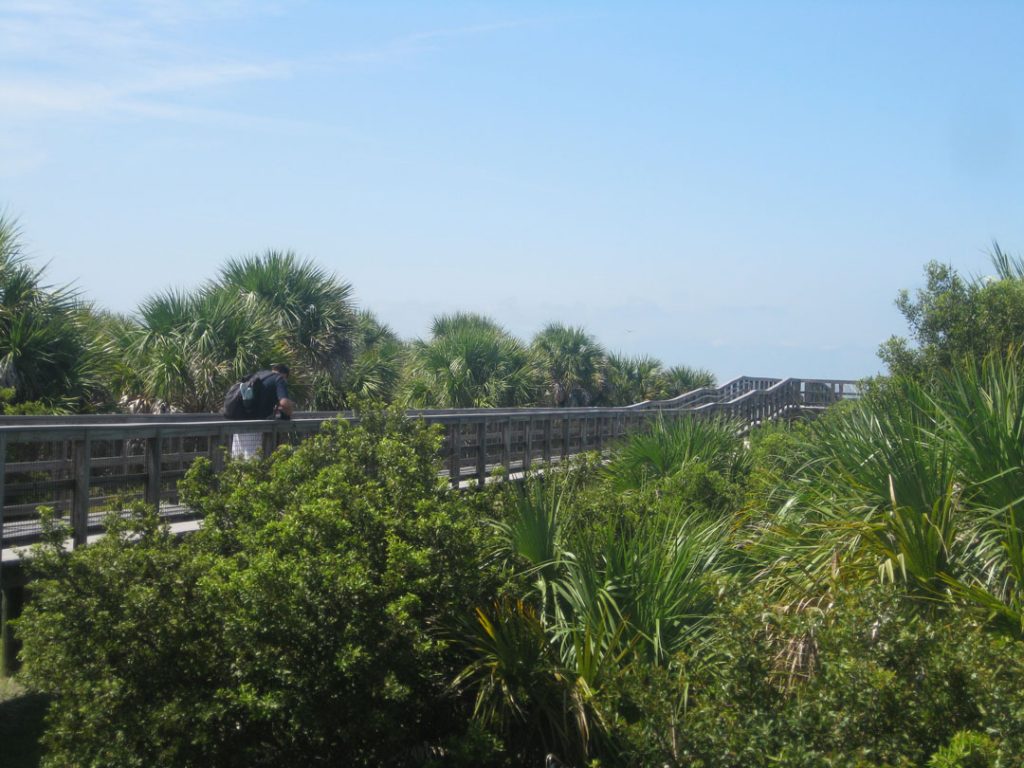 Honeymoon and Caladesi Island Two Islands like Paradise travelspotting