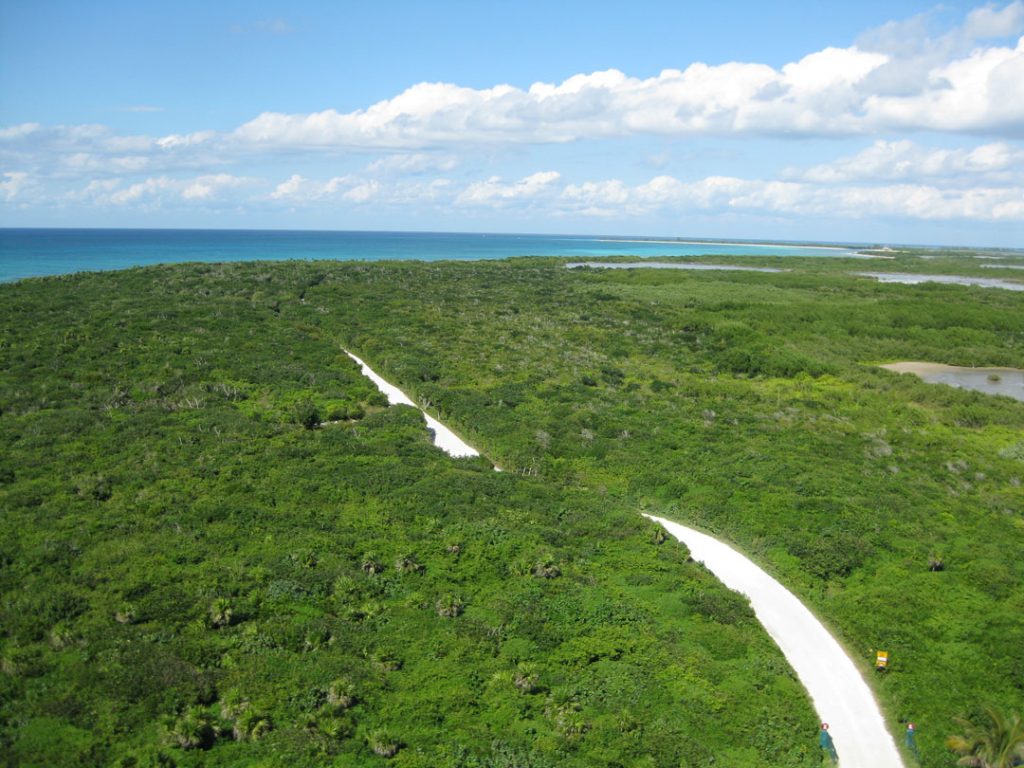 Eco park Punta Sur in Cozumel: A beach area full of dunes, mangroves ...